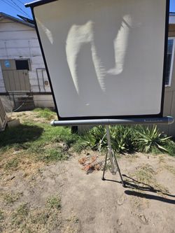 Projector Screen