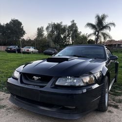 2000 Ford Mustang GT