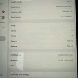 iPad Pro, M4, 13 Inch 256 Gb Storage 