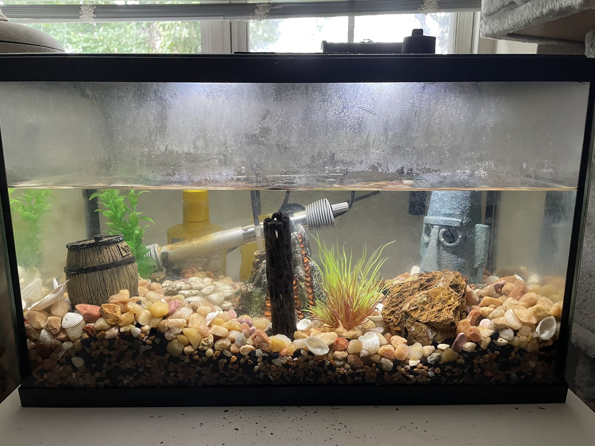 10g Fish Tank