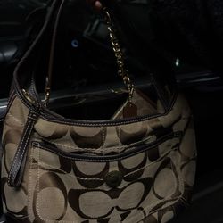 Coach Hobo Bag