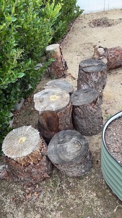 Free firewood