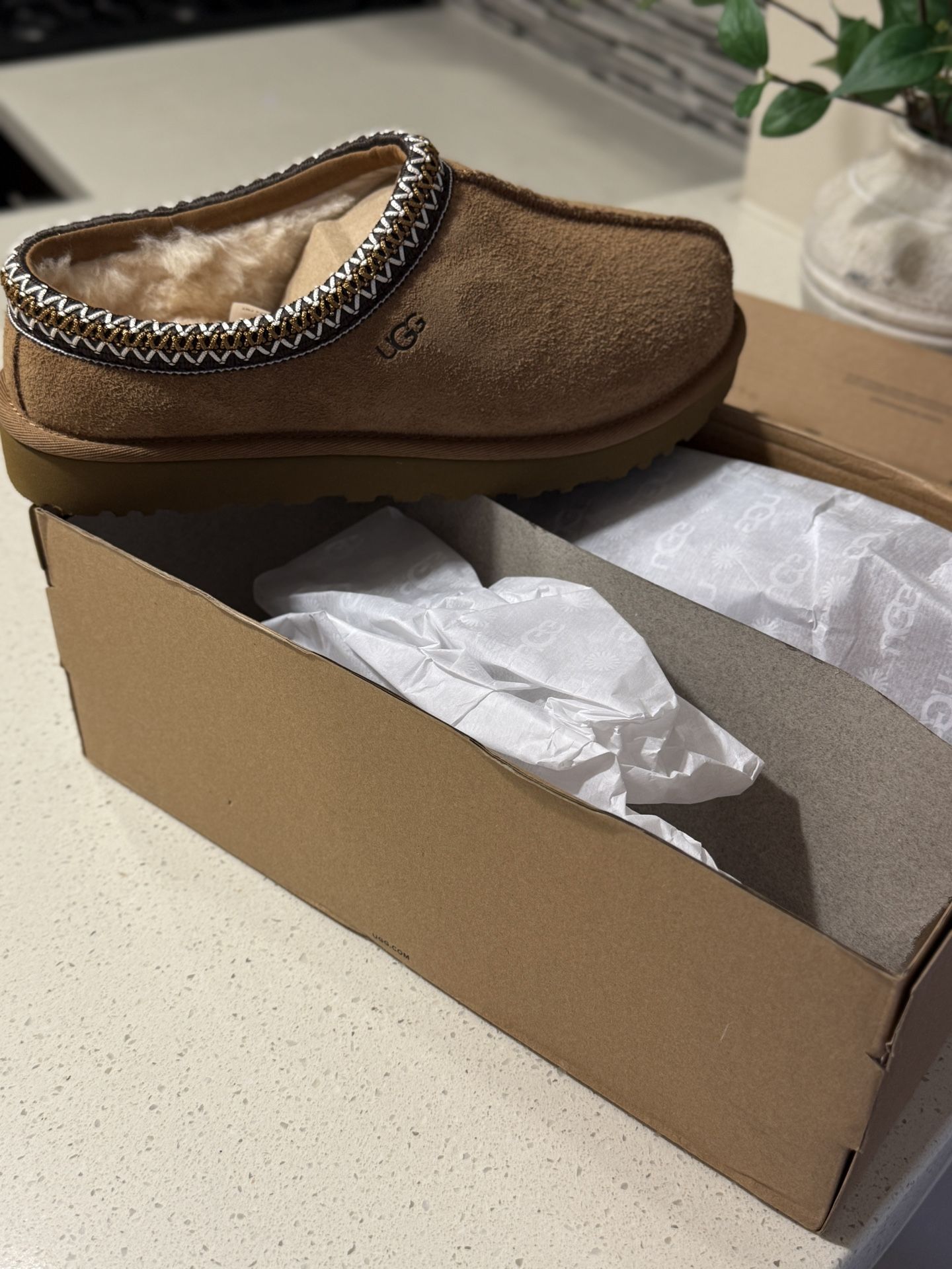 Ugg Slippers