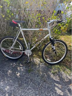 Bicycle Giant Iguana