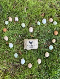 Farm Fresh Eggs