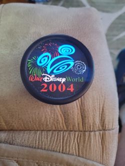 Disney World 2004 Light Up Magnet