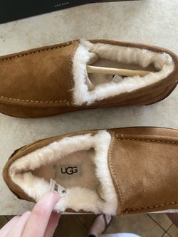 UGG Slippers