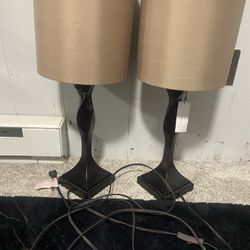 Twin Lamps 