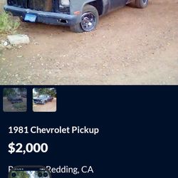 81 Chevy Truck Custom Deluxe 