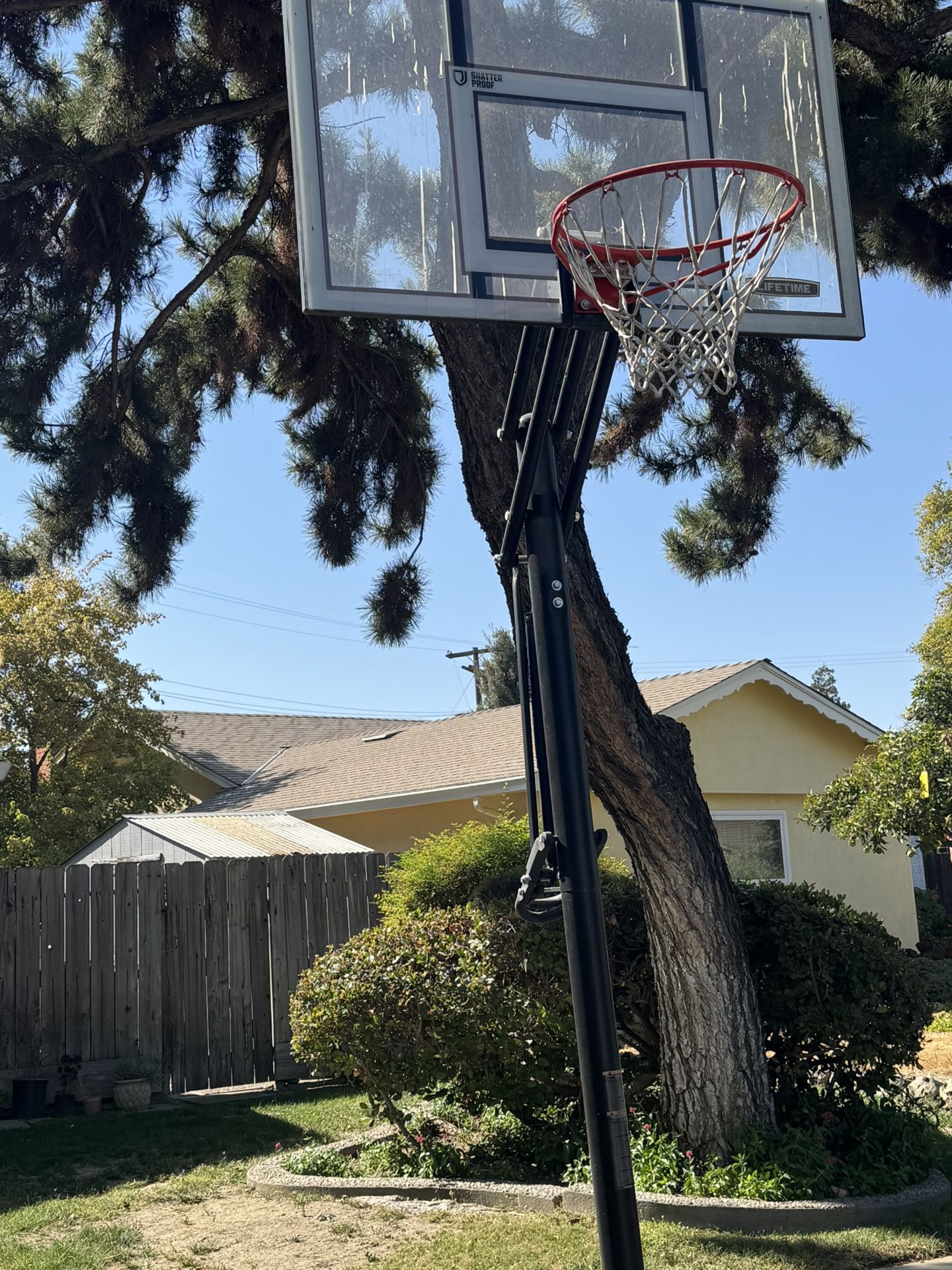 Basketball Hoop