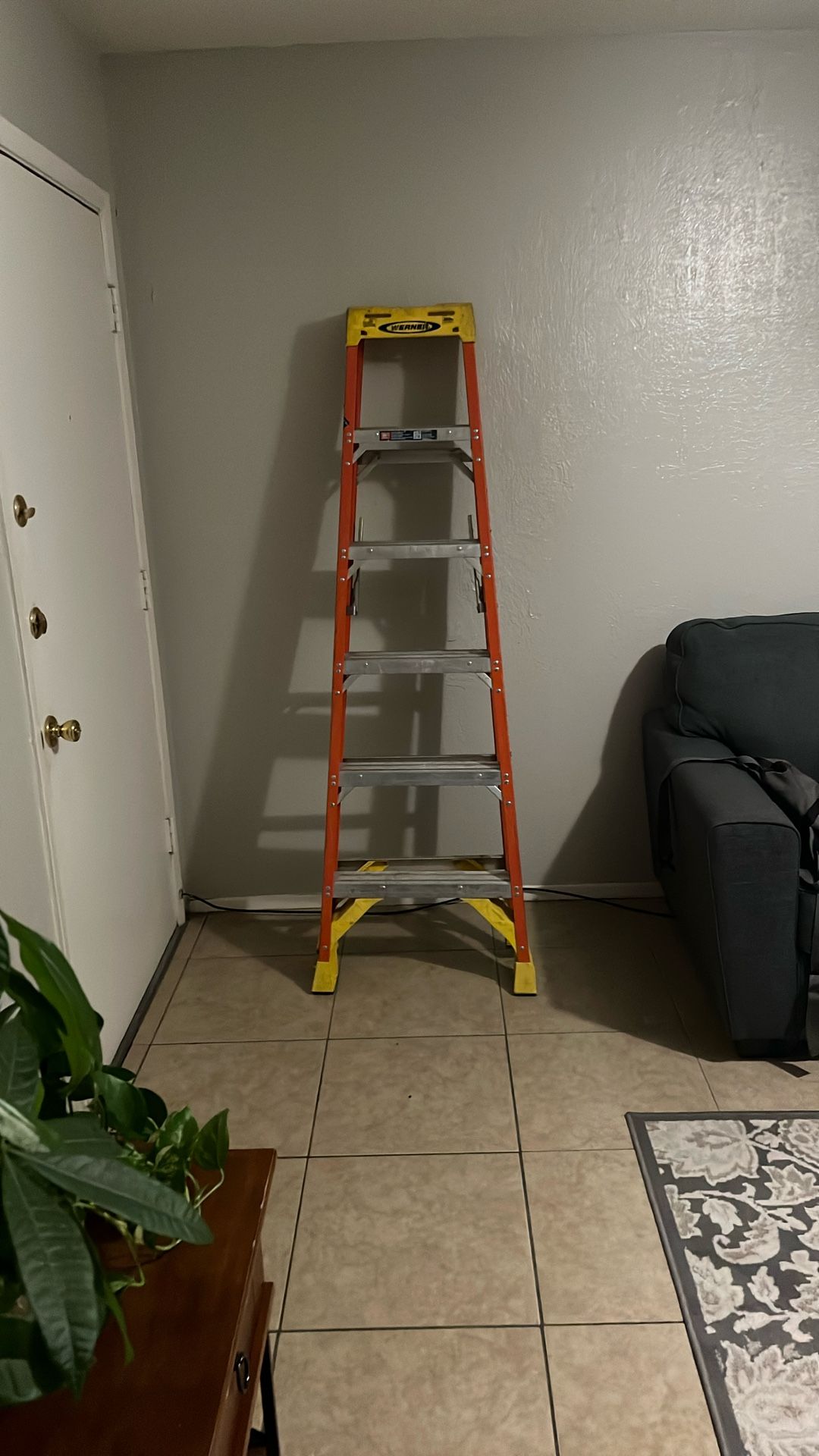 6 Foot Ladder