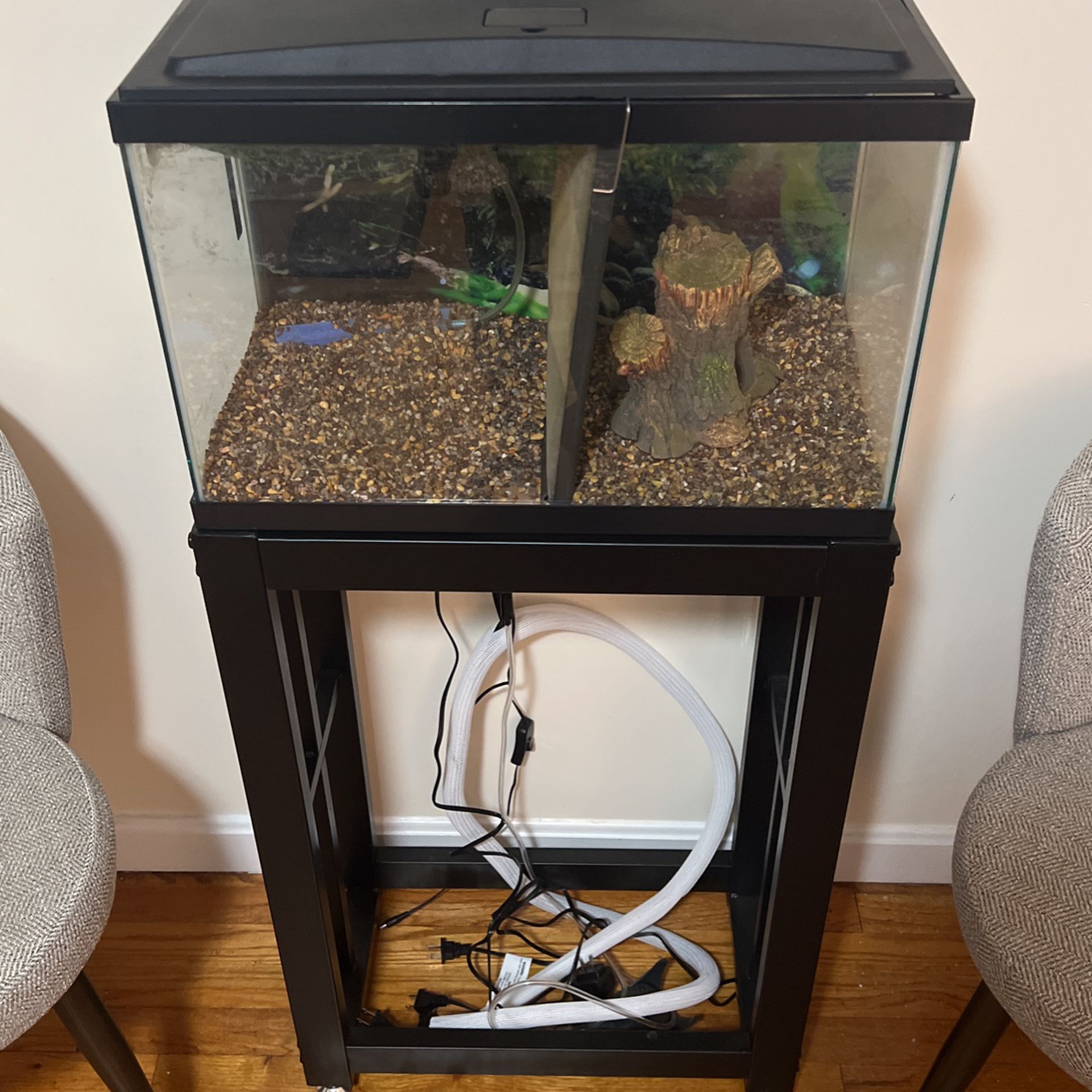  Nice 20 Gallon Fish Tank Set Up With Stand