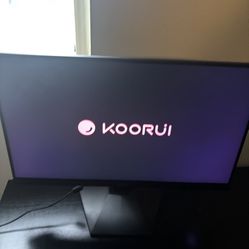 24.5 Inch Gaming Monitor 