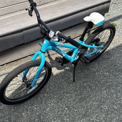 Child’s 20” Trek Bicycle