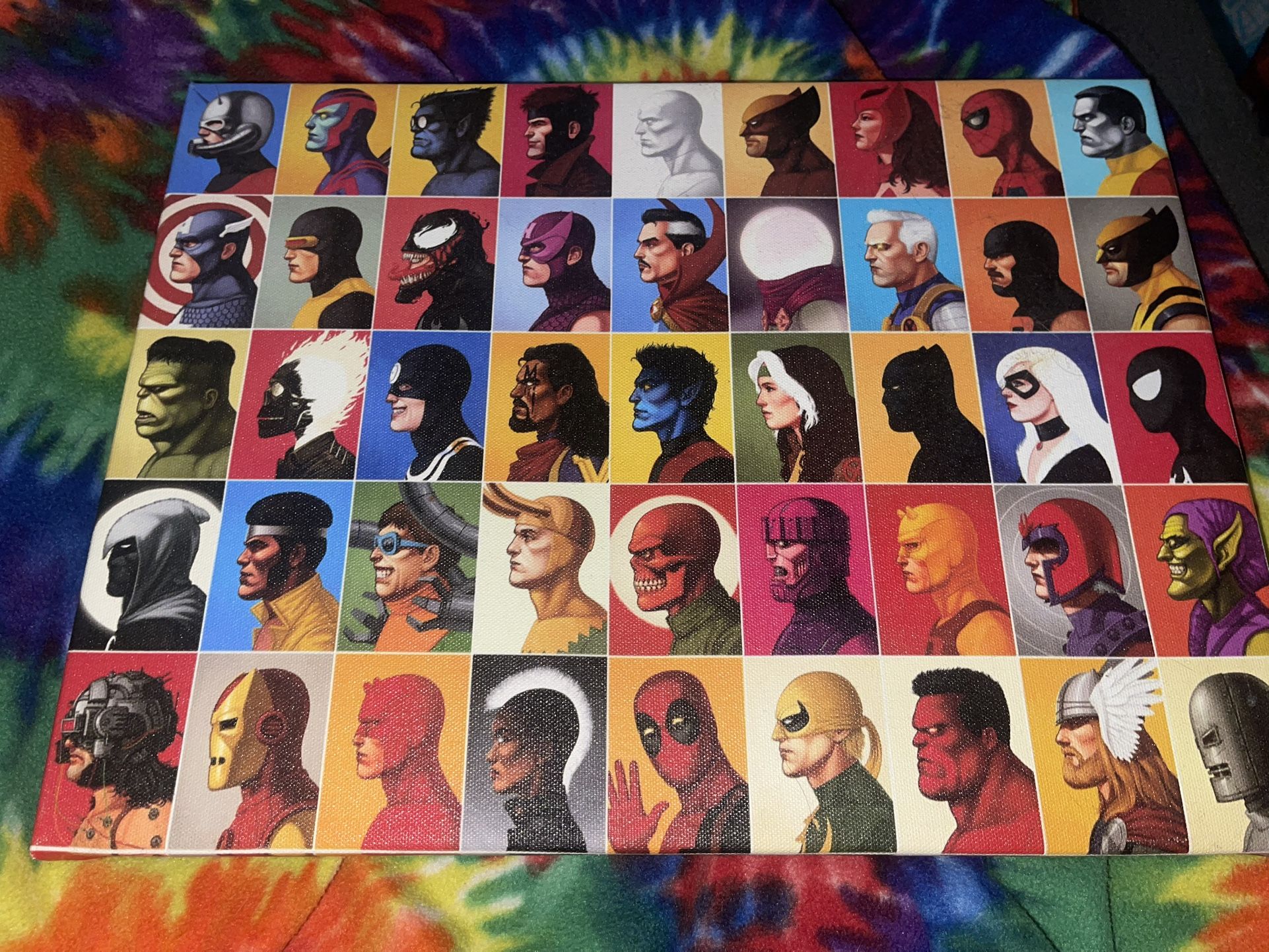 Marvel Super Hero Heads Canvas Wall Art