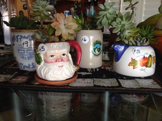 Plants For Sale (succulents)