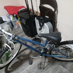 ROADMASTER 24inch MOUNTAIN BIKE 