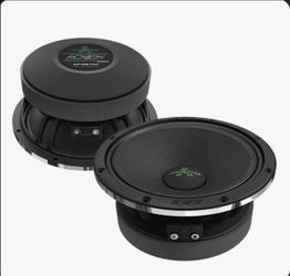 Dead bonce 300 watt RMS