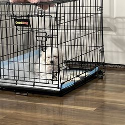 Dog Den-cage 