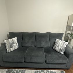 Complete living room suit, sofa, loveseat, TV, stand coffee table, and rugs all included
