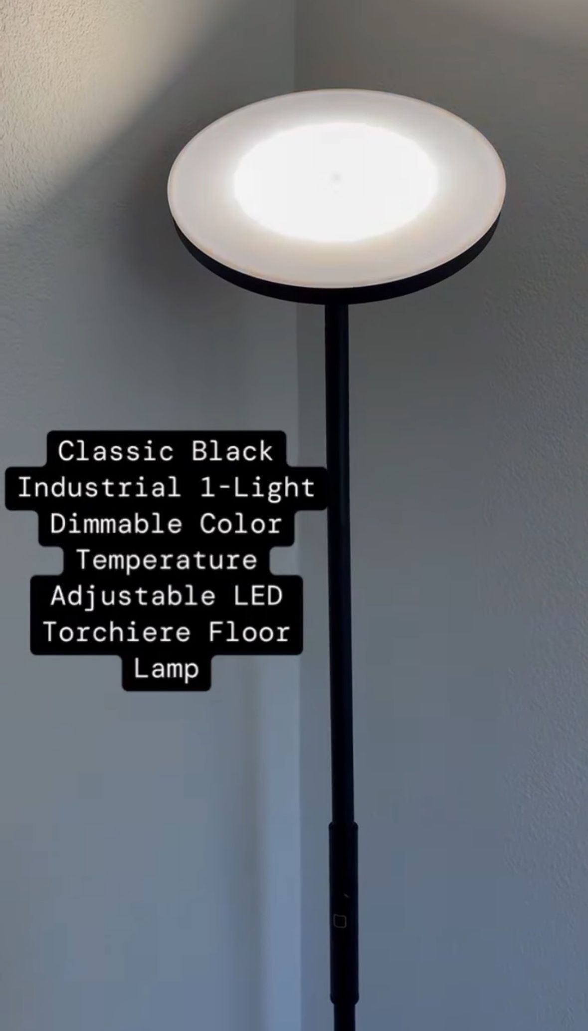 Floor Lamp Classic Black 1-Light Dimmable Color Temp. Adjustable LED Torchiere