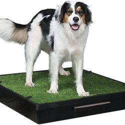 PetSafe Pet Loo Portable Dog Potty, Large