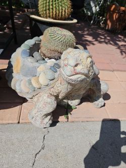 Two big concrete turtle planters with cactus that bears a crown of tiny deep dark pink flowers  13" Tall, 20" long 17" wide very heavy