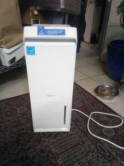 Vellgroo Energy Star Basement Dehumidifier