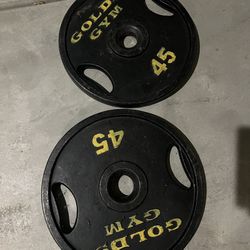 45 Lb Plates 