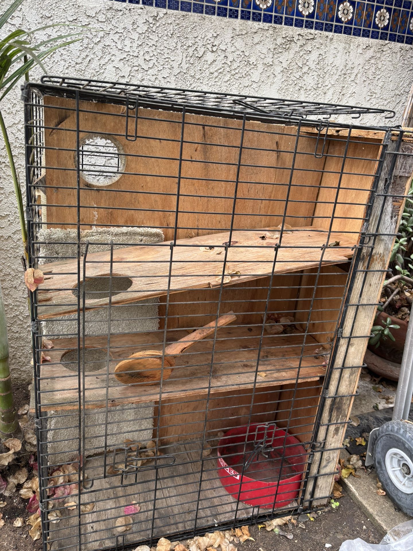 Free Large Dog Crate Cage For Temporary Cat Rescues
