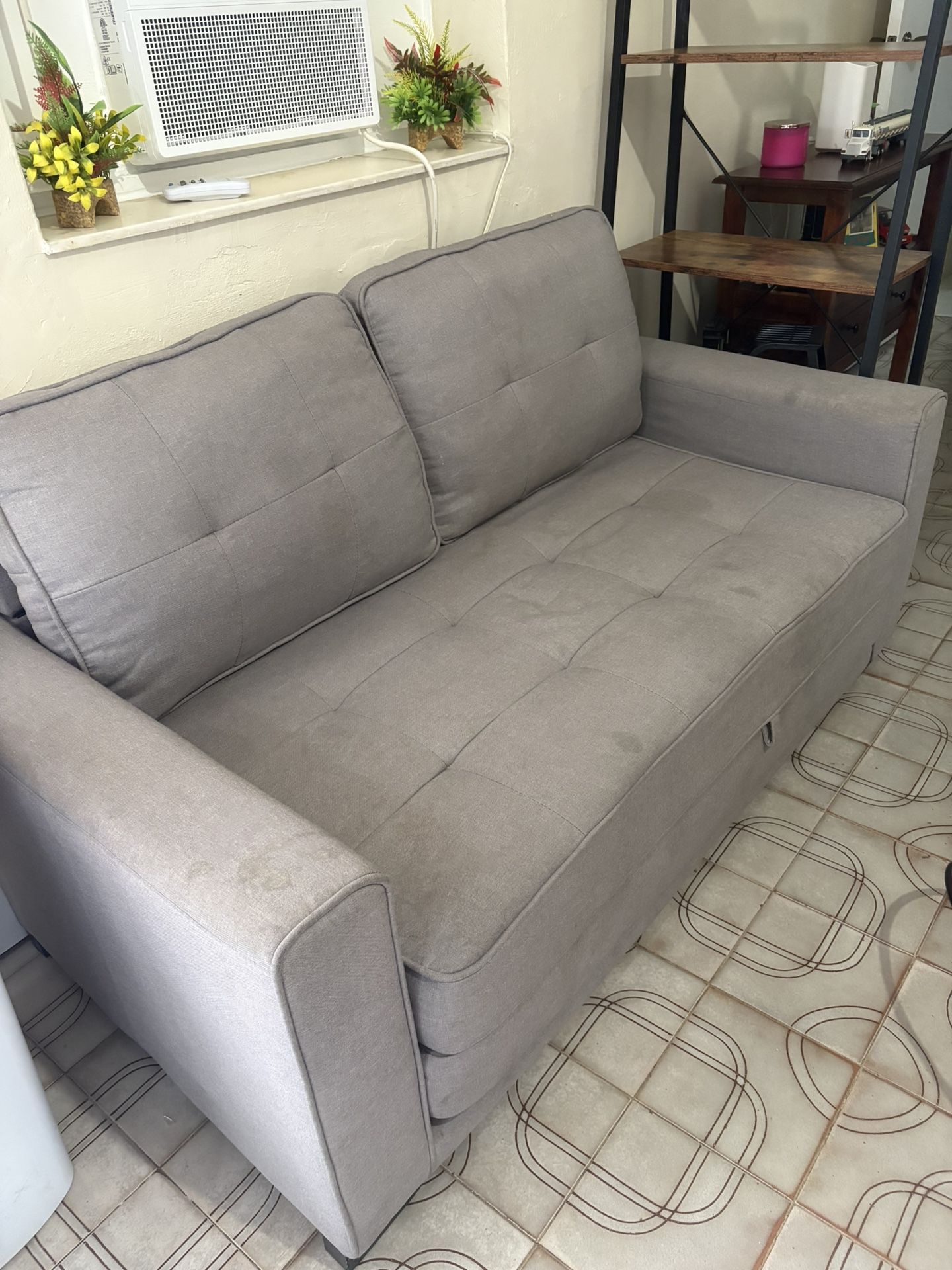 Loveseat And Bed Sofa Cama