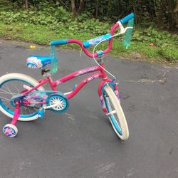 Beautiful Bicycle 