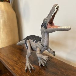 Hammond Collection Baryonyx