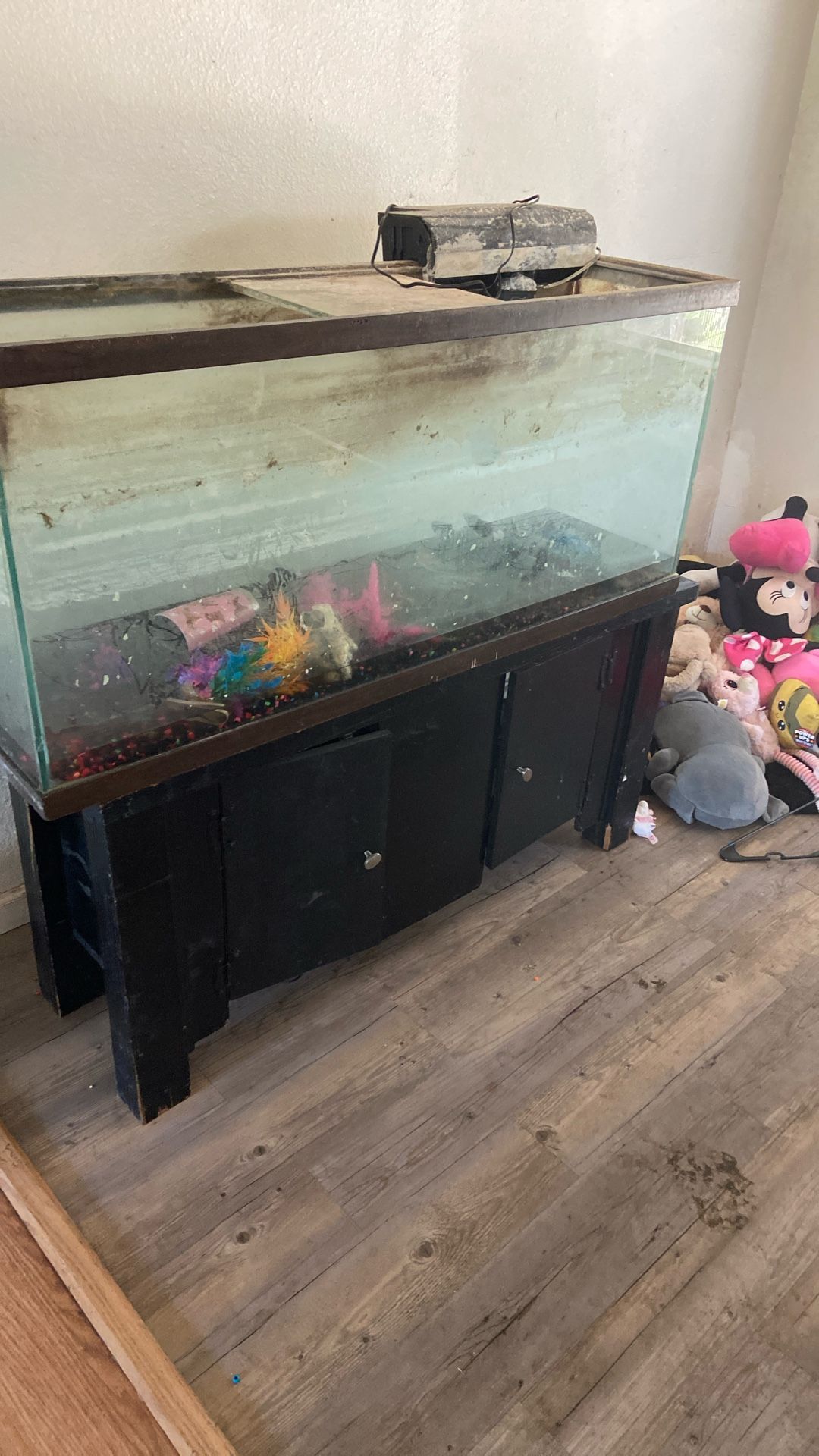 Free Fish tank