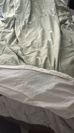 Ca King Sage Green Embroidered Duvet Cover Set