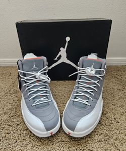 Jordan 12 Cool Grey DS