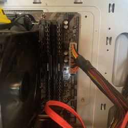 Ram