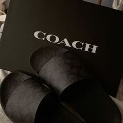 coach slides