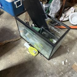 Large Fish Tank