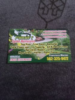 Jardinero Clean Up Trimer Cut Sesped Irritación Los Prices