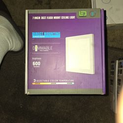 7 Inch 3cct Flush Mount Ceiling Light