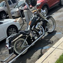 2006 Harley Davidson Softail