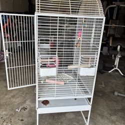 Bird Cage