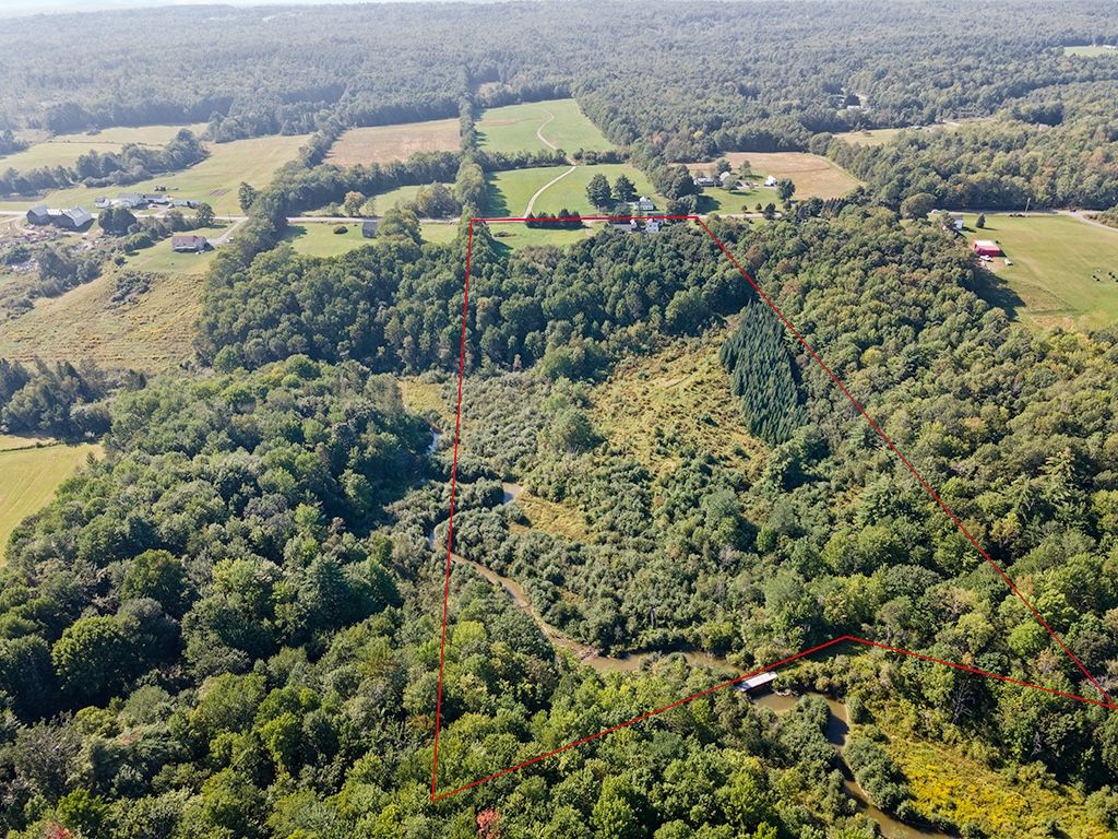 Dream Home For Lease