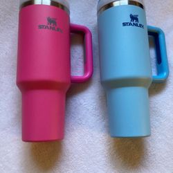 Blue And Pink Stanley’s 