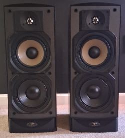 Speakers: Paradigm Reference Studio/40 v.2 pair (black ash)