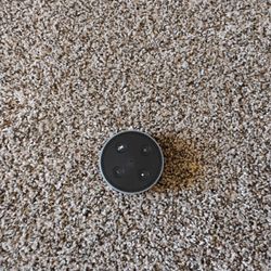 Alexa Ask Anything To....