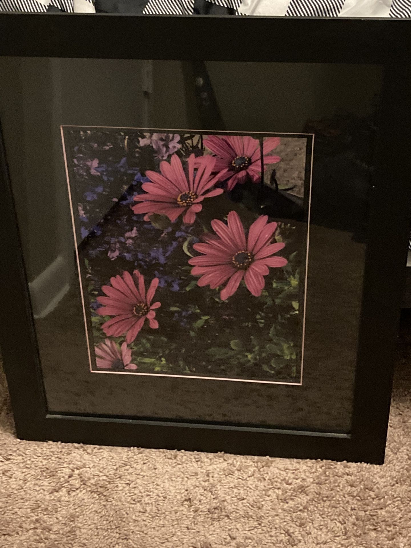 Picture Of Pink Flowers