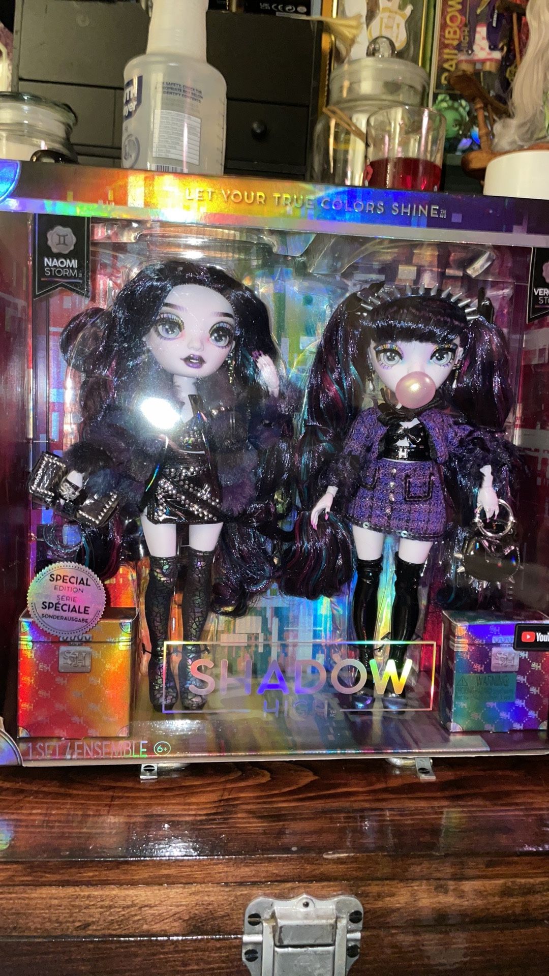Rainbow high’s shadow high twins