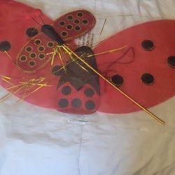 Lady Bug  Kids Wings And Wand Brand New 